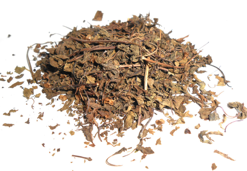Holy Basil, Krishna - Organic - CynCraft