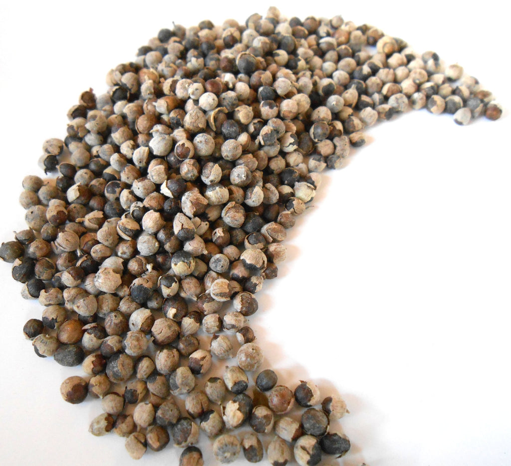 Vitex Berries, Organic - Chaste Tree Berry - CynCraft