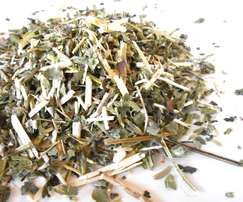 Wood Betony Herb, Organic - CynCraft