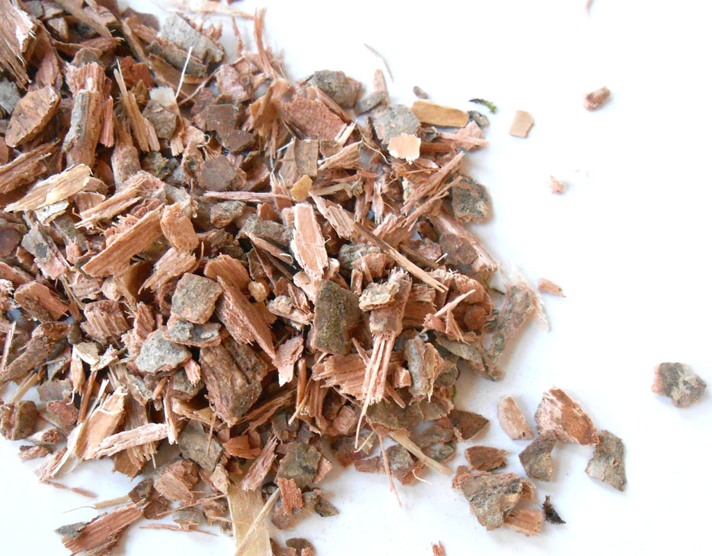Witch Hazel Bark, Ethically Wild-Harvested - CynCraft