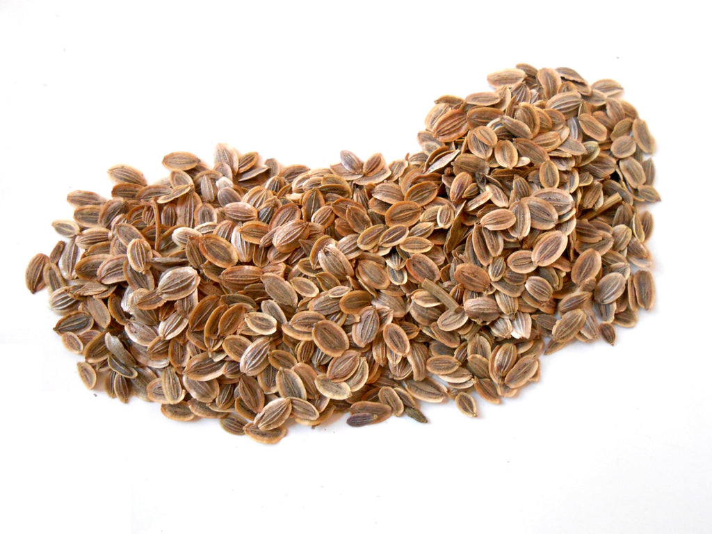 Dill Seed, Organic - CynCraft
