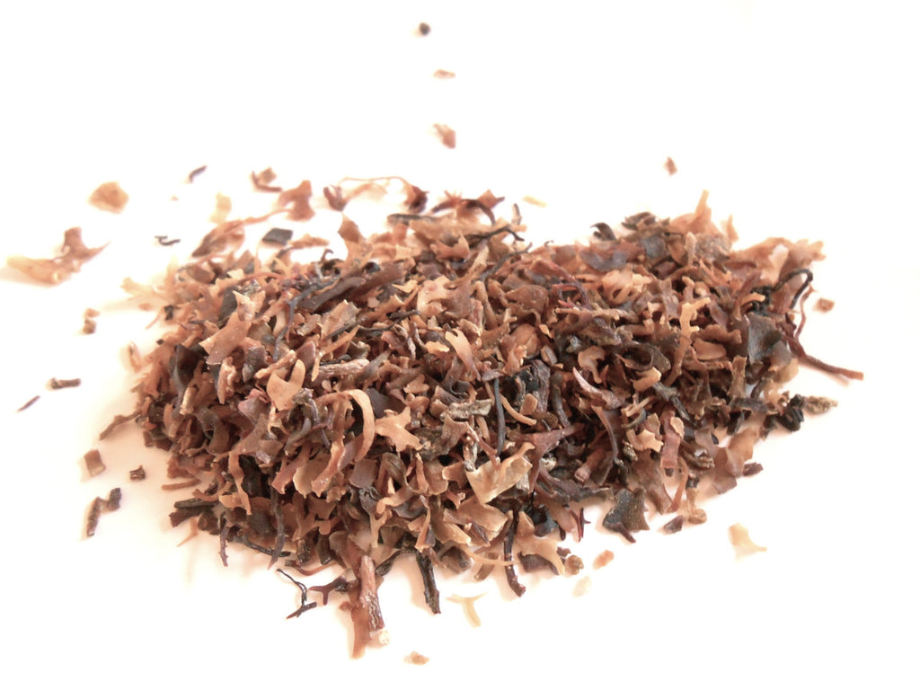 Irish Moss, Carrageen - Ethically Wild-Harvested - CynCraft