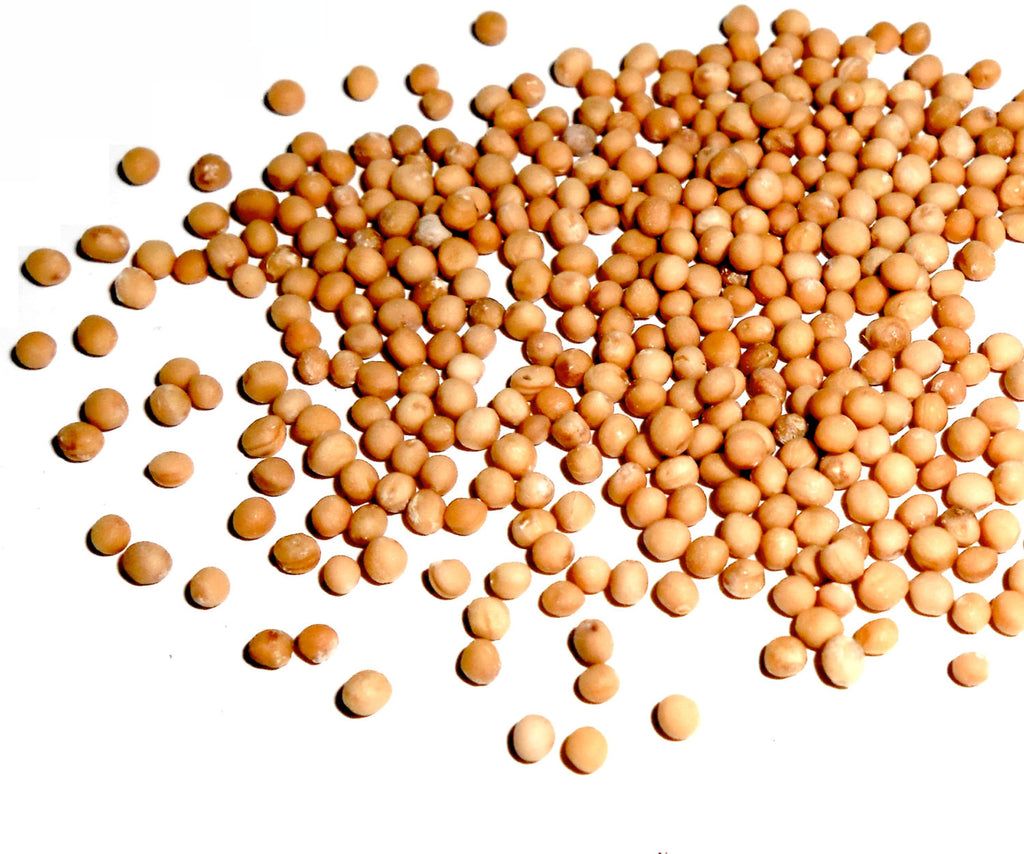 Yellow Mustard Seed, Organic - CynCraft