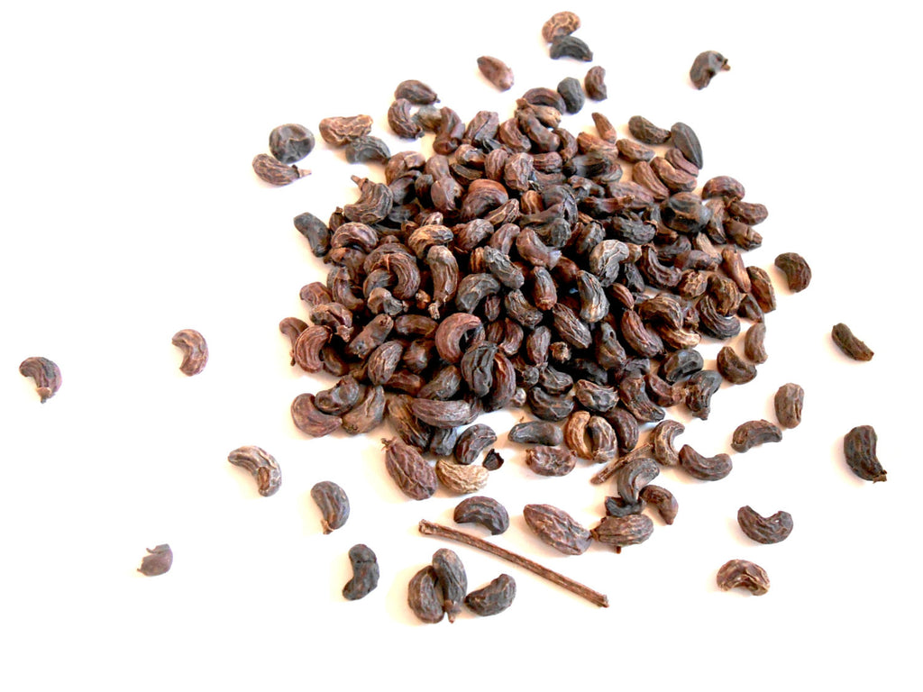Dried Privet Fruit, Organic - CynCraft