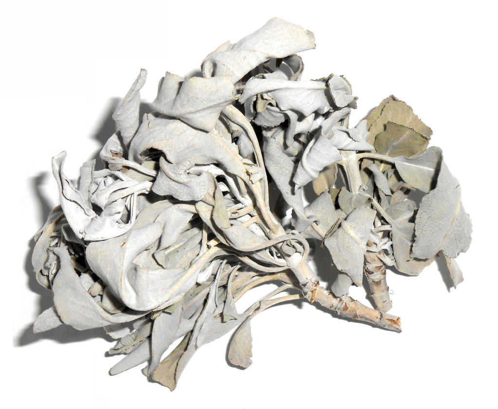 White Sage, Ethically-Wildharvested - Ceremonial, Traditional Herb - CynCraft