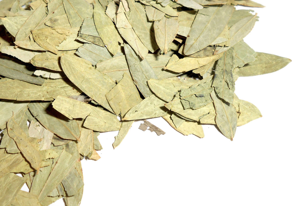 SENNA LEAF, Organic - CynCraft