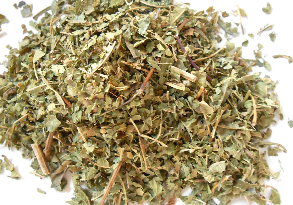 Lemon Verbena, Organic - CynCraft