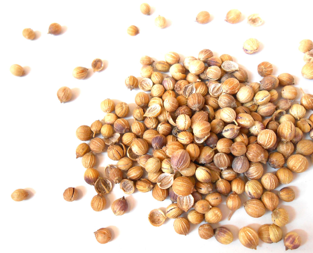 Coriander Seed, Organic - CynCraft