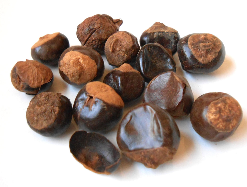 Guarana Seed, Ethically Wild-Harvested - CynCraft