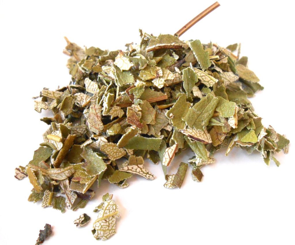 Yerba Santa, Ethically Wild-Harvested - Holy Herb - CynCraft