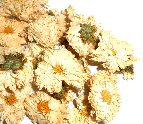 Chrysanthemum Flowers, Organic - CynCraft