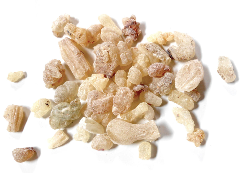 Frankincense Resin Tears, Ethically Wild-Harvested - CynCraft