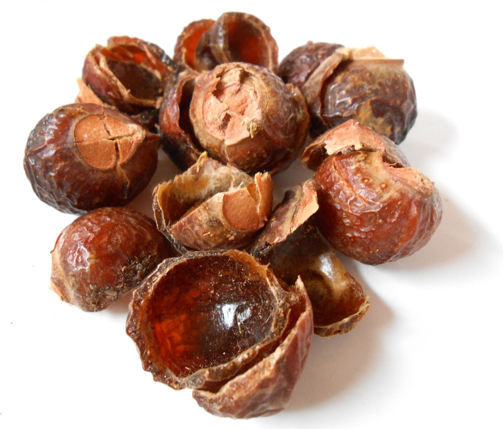 Soap Nuts, De-Seeded - Natural, Safe Detergent - CynCraft