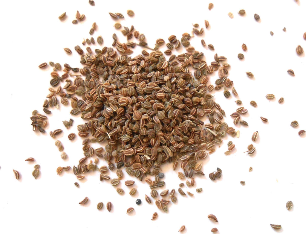 Celery Seed, Organic - CynCraft