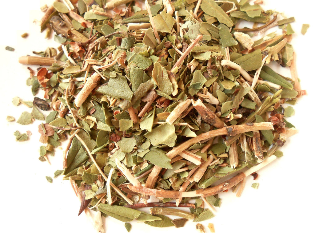 Pipsissewa Herb, Wild-Harvested - Bitter Wintergreen - CynCraft