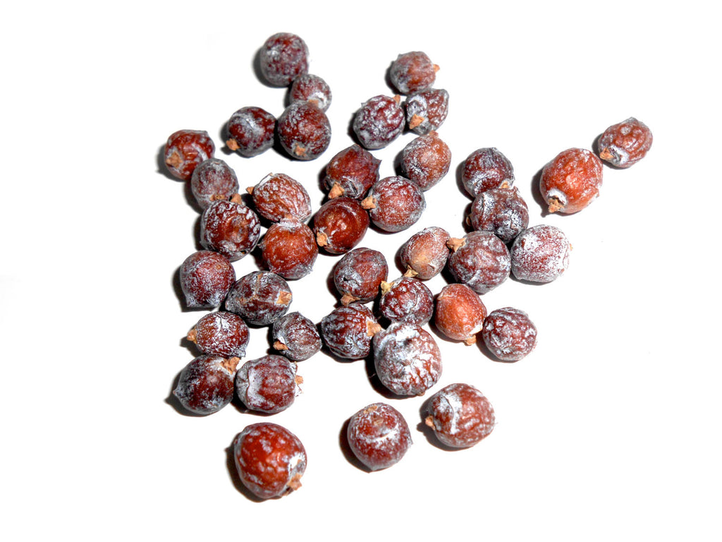 Cedar Berries, Wild-Harvested - CynCraft