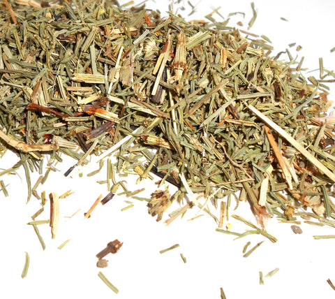 Shavegrass Horsetail Herb, Organic - CynCraft